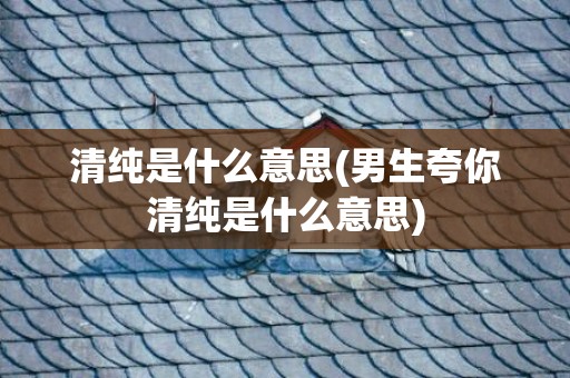 清纯是什么意思(男生夸你清纯是什么意思)