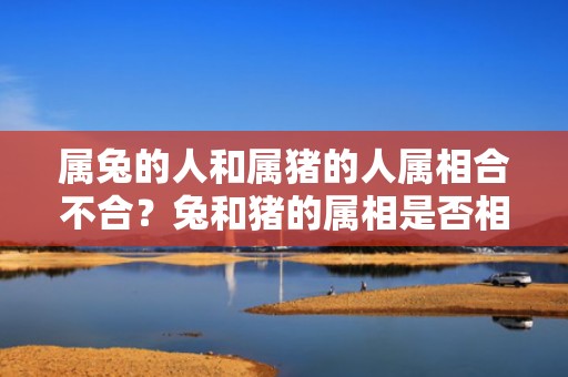 属兔的人和属猪的人属相合不合？兔和猪的属相是否相配？