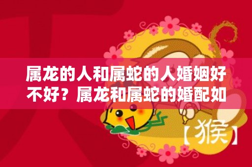 属龙的人和属蛇的人婚姻好不好？属龙和属蛇的婚配如何？