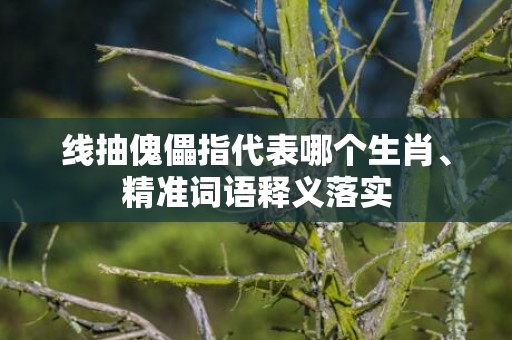 线抽傀儡指代表哪个生肖、精准词语释义落实