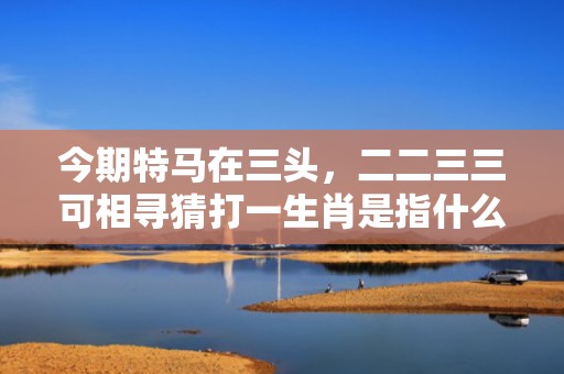 今期特马在三头，二二三三可相寻猜打一生肖是指什么生肖、精准词语释义落实