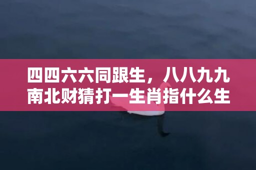 四四六六同跟生，八八九九南北财猜打一生肖指什么生肖、精准词语释义落实