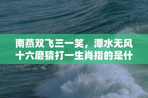 南燕双飞三一笑，潭水无风十六磨猜打一生肖指的是什么生肖、精准词语释义落实