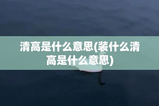 清高是什么意思(装什么清高是什么意思)