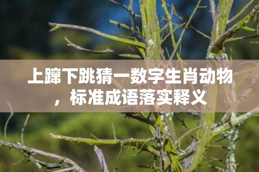 上蹿下跳猜一数字生肖动物，标准成语落实释义