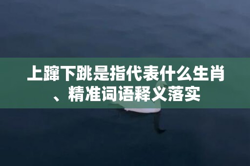 上蹿下跳是指代表什么生肖、精准词语释义落实