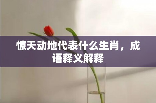 惊天动地代表什么生肖，成语释义解释