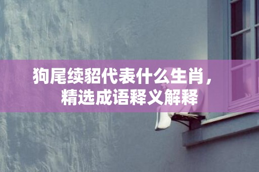 狗尾续貂代表什么生肖， 精选成语释义解释