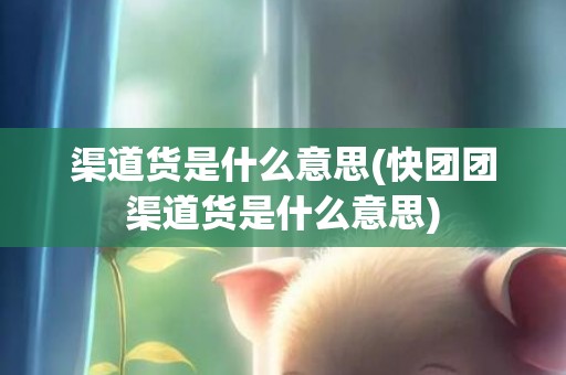 渠道货是什么意思(快团团渠道货是什么意思)