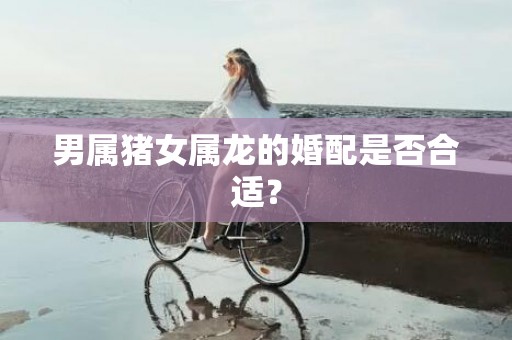 男属猪女属龙的婚配是否合适？