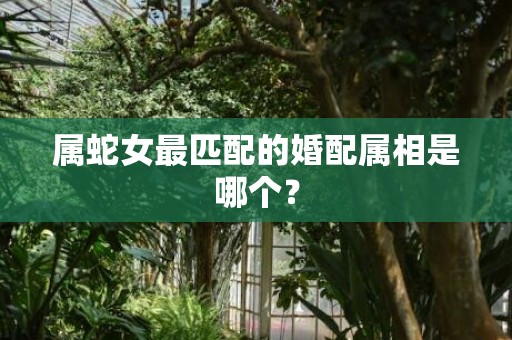 属蛇女最匹配的婚配属相是哪个？