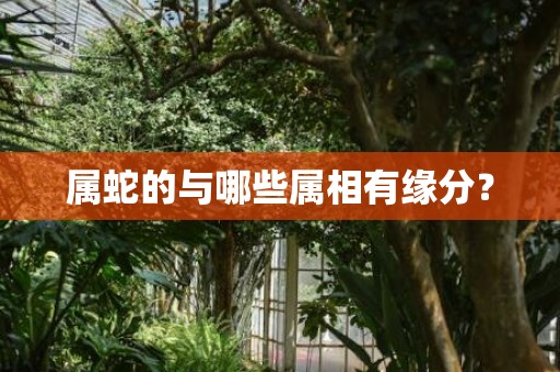 属蛇的与哪些属相有缘分？