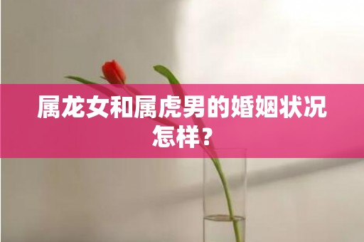 属龙女和属虎男的婚姻状况怎样？