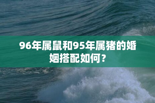 96年属鼠和95年属猪的婚姻搭配如何？