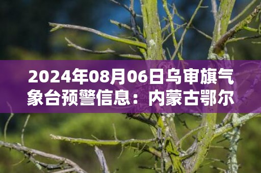 2024年08月06日乌审旗气象台预警信息：内蒙古鄂尔多斯市乌审旗发布冰雹橙色预警