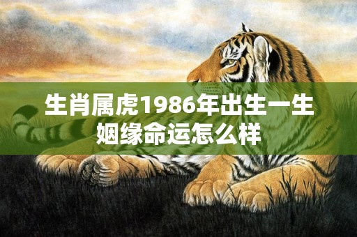 生肖属虎1986年出生一生姻缘命运怎么样