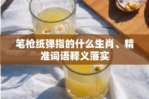 笔枪纸弹指的什么生肖、精准词语释义落实