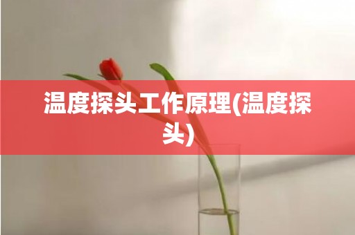 温度探头工作原理(温度探头)