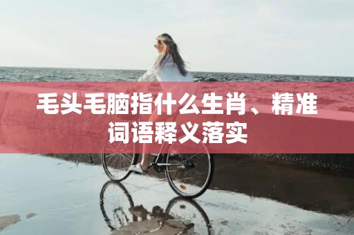 毛头毛脑指什么生肖、精准词语释义落实