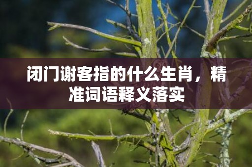 闭门谢客指的什么生肖，精准词语释义落实
