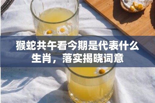 猴蛇共午看今期是代表什么生肖，落实揭晓词意