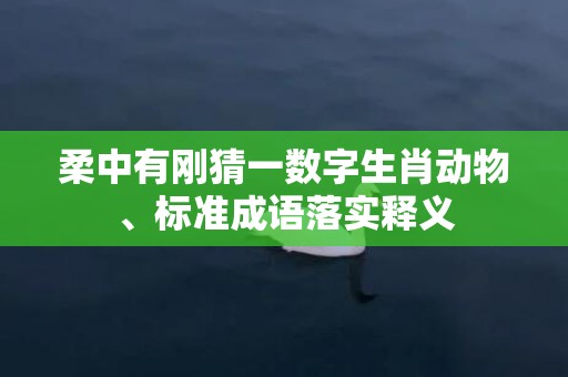 柔中有刚猜一数字生肖动物、标准成语落实释义