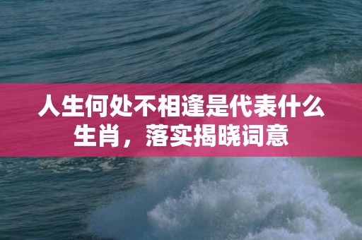 人生何处不相逢是代表什么生肖，落实揭晓词意