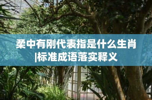 柔中有刚代表指是什么生肖|标准成语落实释义