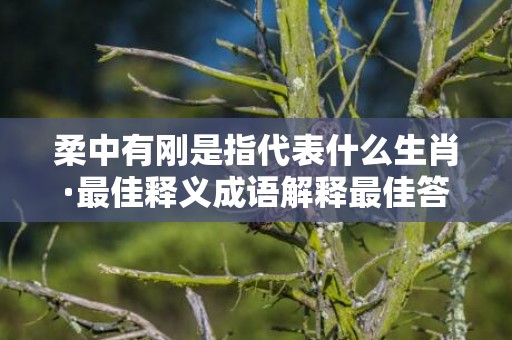 柔中有刚是指代表什么生肖·最佳释义成语解释最佳答