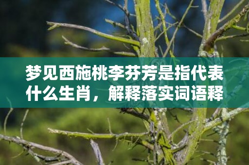 梦见西施桃李芬芳是指代表什么生肖，解释落实词语释义