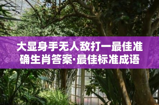 大显身手无人敌打一最佳准确生肖答案·最佳标准成语落实释义