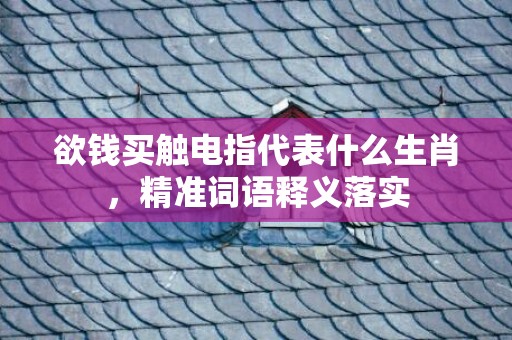 欲钱买触电指代表什么生肖，精准词语释义落实