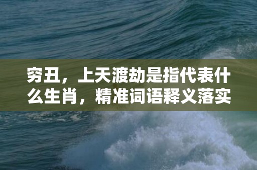 穷丑，上天渡劫是指代表什么生肖，精准词语释义落实