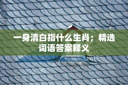 一身清白指什么生肖；精选词语答案释义