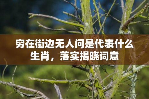 穷在街边无人问是代表什么生肖，落实揭晓词意