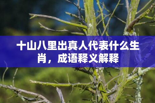 十山八里出真人代表什么生肖，成语释义解释