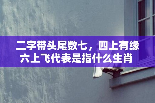 二字带头尾数七，四上有缘六上飞代表是指什么生肖 ·最佳释义成语解释最佳答