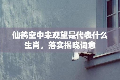 仙鹤空中来观望是代表什么生肖，落实揭晓词意