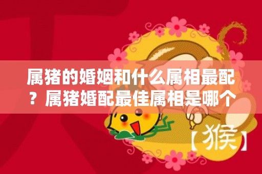 属猪的婚姻和什么属相最配？属猪婚配最佳属相是哪个？