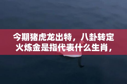 今期猪虎龙出特，八卦转定火炼金是指代表什么生肖，精准词语释义落实