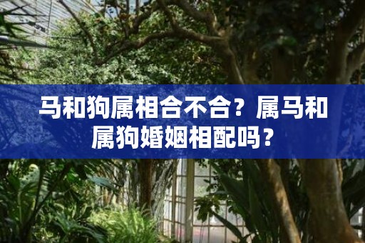 马和狗属相合不合？属马和属狗婚姻相配吗？