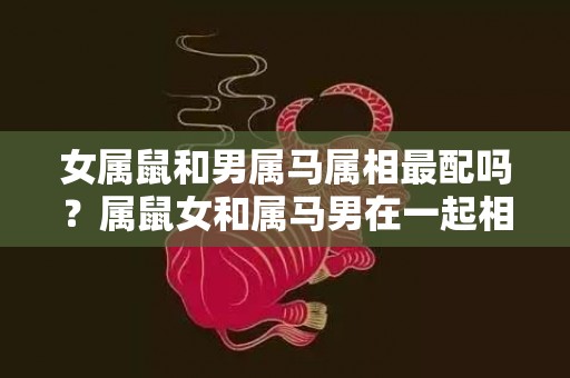 女属鼠和男属马属相最配吗？属鼠女和属马男在一起相配吗？