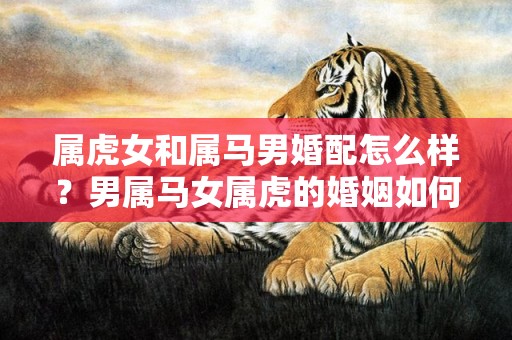 属虎女和属马男婚配怎么样？男属马女属虎的婚姻如何？