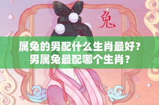 属兔的男配什么生肖最好？男属兔最配哪个生肖？