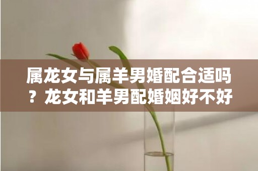 属龙女与属羊男婚配合适吗？龙女和羊男配婚姻好不好？