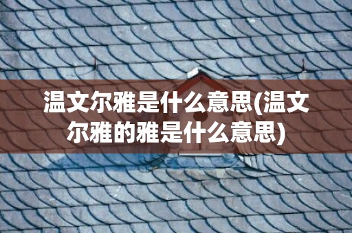温文尔雅是什么意思(温文尔雅的雅是什么意思)