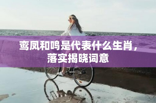 鸾凤和鸣是代表什么生肖，落实揭晓词意