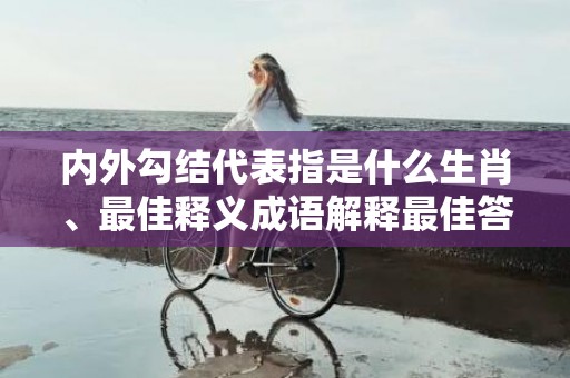 内外勾结代表指是什么生肖、最佳释义成语解释最佳答
