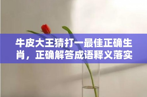 牛皮大王猜打一最佳正确生肖，正确解答成语释义落实