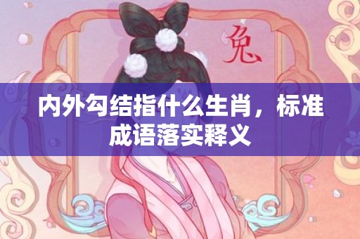 内外勾结指什么生肖，标准成语落实释义